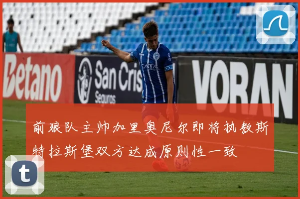 前狼队主帅加里奥尼尔即将执教斯特拉斯堡双方达成原则性一致
