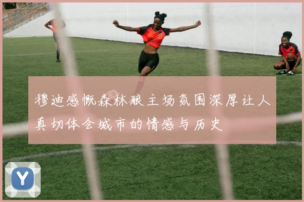 穆迪感慨森林狼主场氛围深厚让人真切体会城市的情感与历史