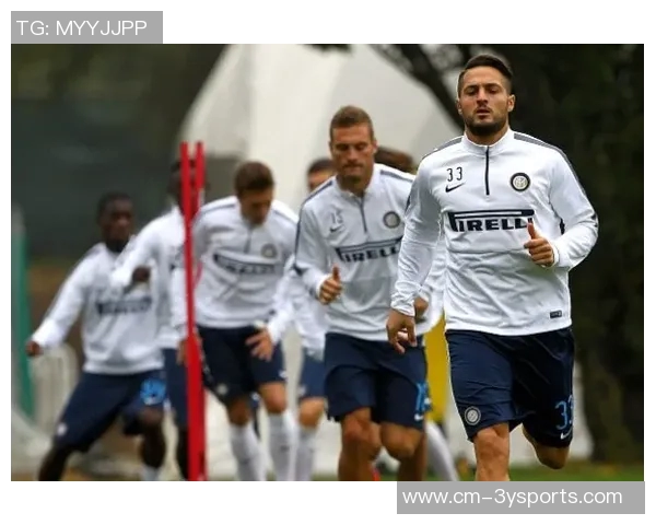 埃尔纳内斯:国米展现意大利足球之巅的实力与风采 埃尔纳内斯:国米展现意大利足球之巅的实力与风采