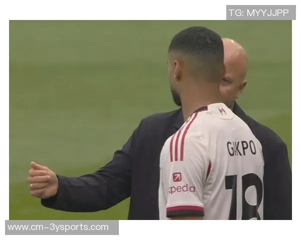 纳尼称帕利尼亚符合曼联精神具备为任何顶级球队效力的能力